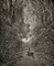 Satan As A Serpent, Enters Paradise In Search Of Eve" Poster Print by Gustave Dore - Item # VARPDX277425